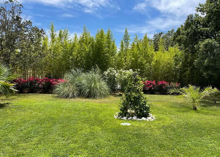 La Tarentane 4* Grimaud